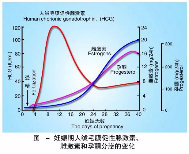 懷孕期間HCG低怎么辦？
